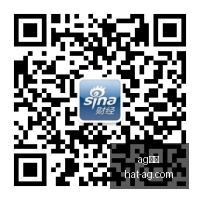 腾讯电竞盛,典盛况空前,品牌新策略,AG真人官网,AG真人APP,AG娱乐体验,AG真人直播,AG游戏中心